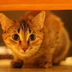 Trey - @trey_mayfield - Instagram
