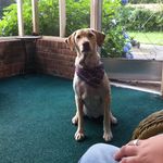 Trey Mcleod - @tmcleod824 - Instagram