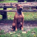 Trey Olson-Ray - @treyolsonray - Instagram