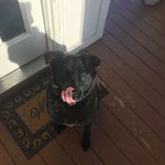 Trey Waller - @treywaller57 - Instagram