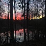 Trey Waller - @treywaller - Instagram