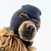 TreyWittaAk - @treywittaak - TikTok