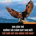 Tri Lam - Facebook