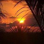 Tricia Ayers - @tricia.ayers - Instagram