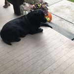 Tricia Ayers - @ayers6452 - Instagram