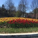 Patricia Barlow - @barlow5558 - Instagram