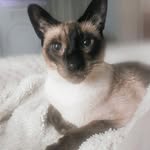 Patricia Bender - @pattyb112233 - Instagram