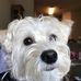 Patricia Ann Bledsoe - Facebook