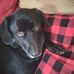 Tricia Bowden Kerrigan - Facebook