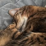 Tricia Bryant - @triciabryant667 - Instagram