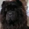 Tricia Burt - @tricia.burt - TikTok