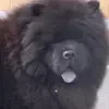 Tricia Burt - @tricia.burt5 - TikTok