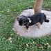 Tricia Cantrell - Facebook