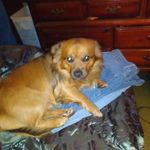Patricia Coffman Cales - @patricia.cales.7140 - Instagram