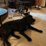 Patricia Coffman Richards - @pat_richards3 - Instagram