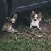 Tricia Cooper - Facebook