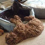 Tricia Cooper - @triciacooper75 - Instagram