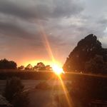 Tricia Cox - @teacox5 - Instagram