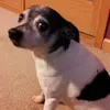triciadowns72 - @triciadowns72 - TikTok