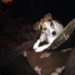 Tricia Fleming - @fleming.tricia - Instagram