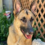 Tricia Fleming Briere - @btriciafleming - Instagram