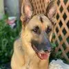 Tricia Fleming Briere - @tricia.fleming.br - TikTok