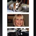 Tricia Lynch Fleming - @tricialynchfleming - Instagram