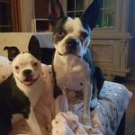 Tricia Freeman - @lb_and_lilly_tucson - Instagram