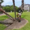 Tricia Freeman - @tricia.freeman4 - TikTok