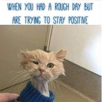 Patricia Goldstein - Facebook