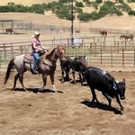 Tricia Goldstein - @triciag327 - Instagram