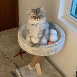 Tricia Harmon - @harmonp4 - Instagram