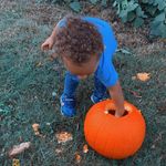 Tricia Harmon - @triciaharmon5341 - Instagram