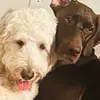 Tricia Hoffman - @graciesmom1271 - TikTok