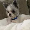Tricia Johnston - @ninja122110 - TikTok