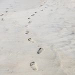 Tricia Koch - @20kartmom - Instagram