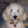 patriciakramer302 - @patriciakramer302 - TikTok