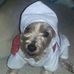 Patricia Lamb - Facebook