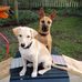 Tricia Lancaster - Facebook
