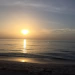 Tricia Larkin Joyce - @tricia.l.joyce - Instagram