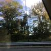 leatricialloyd214 - @citaskl214 - TikTok