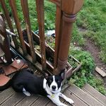 Tricia Lloyd - @patricia.ingram.779 - Instagram
