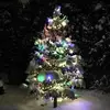 Tricia Lyons - @tricia.lyons44 - TikTok