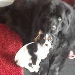Tricia Bruce Malone - @triciabrucemalone - Instagram