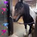 Patricia Mansfield - Facebook