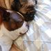 Patricia Mcleod - Facebook