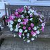 Tricia McLeod - Facebook