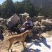 Tricia Meade - Facebook