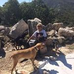 Tricia Meade - @triciameade - Instagram