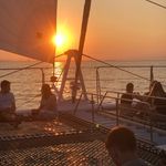 Tricia Meaden - @tricia.meaden196 - Instagram